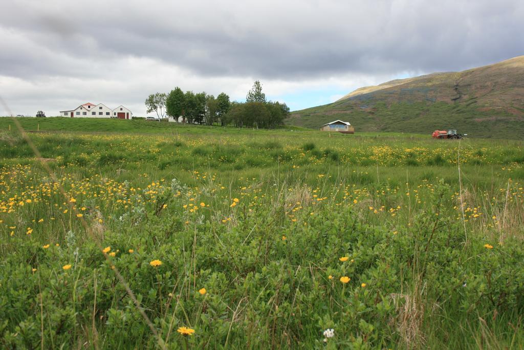 לאוגרבטן Eyvindartunga Farm Cottage מראה חיצוני תמונה